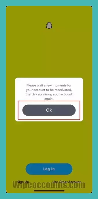 Snapchat will inform you that reactivation takes a little time. Tap "OK" and wait.